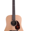 Đàn Guitar Acoustic Martin DX1AE X Series